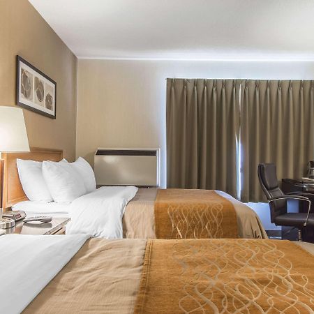 Comfort Inn Капускасинг Экстерьер фото